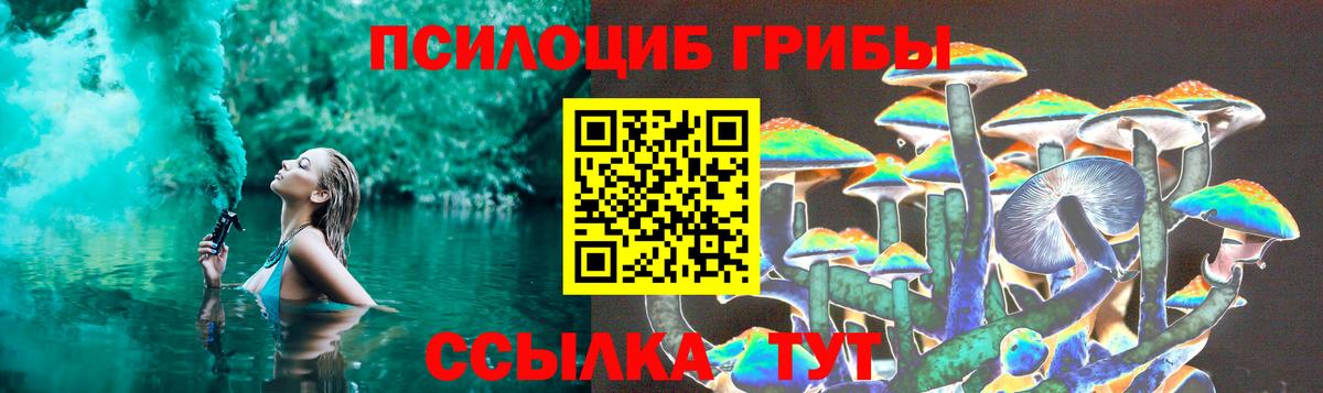 Петропавловск-Камчатский  Псилоцибиновые грибы MAGIC MUSHROOMS  Вход с VPN 